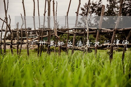 广州花都区债务执行律师咨询
