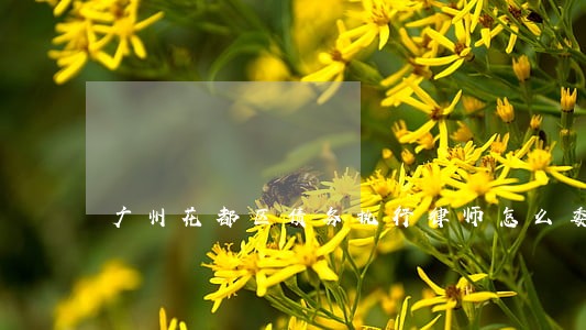 广州花都区债务执行律师怎么委托 广州花都区债务执行律师怎么委托