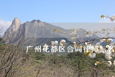 广州花都区合同律师怎么收费 广州花都区合同律师怎么收费