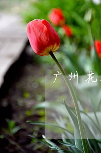 广州花都口碑好的债务律师哪家好 广州花都口碑好的债务律师哪家好