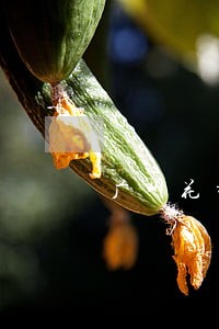 广州花都好的债务律师咨询免费 广州花都好的债务律师咨询免费