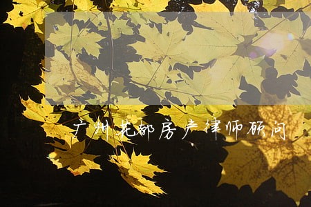 广州花都房产律师顾问 广州花都房产律师顾问