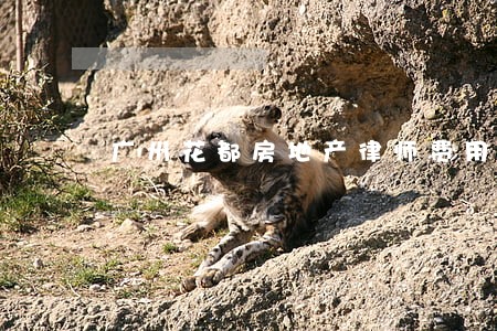 广州花都房地产律师费用