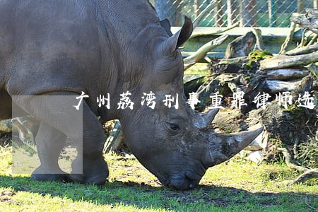 广州荔湾刑事重罪律师选哪个 广州荔湾刑事重罪律师选哪个