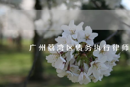 广州荔湾区债务执行律师 广州荔湾区债务执行律师