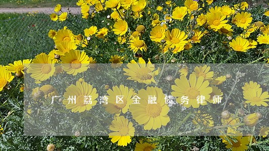 广州荔湾区金融债务律师 广州荔湾区金融债务律师