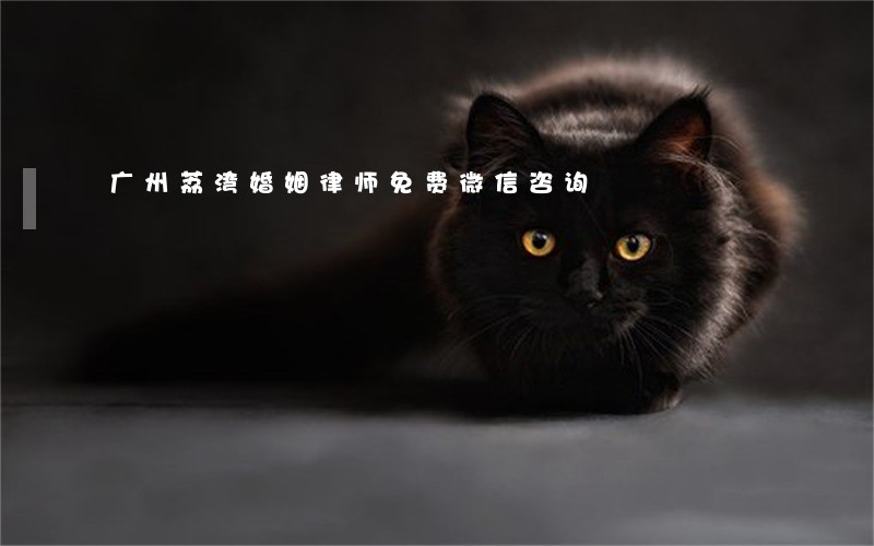 广州荔湾婚姻律师免费微信咨询 广州荔湾婚姻律师免费微信咨询