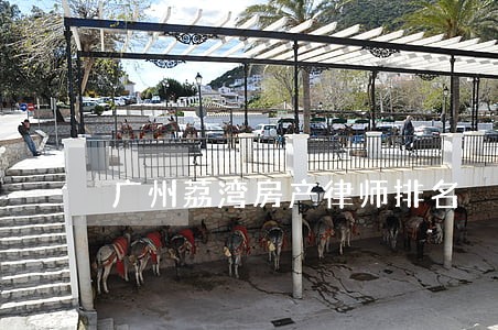 广州荔湾房产律师排名 广州荔湾房产律师排名