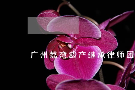 广州荔湾遗产继承律师团 广州荔湾遗产继承律师团