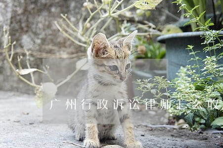广州行政诉讼律师怎么收费 广州行政诉讼律师怎么收费