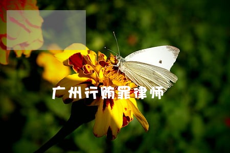 广州行贿罪律师 广州行贿罪律师