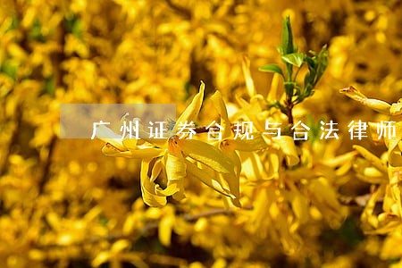 广州证券合规与合法律师事务所 广州证券合规与合法律师事务所