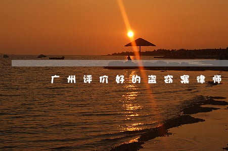 广州评价好的盗窃案律师预约电话