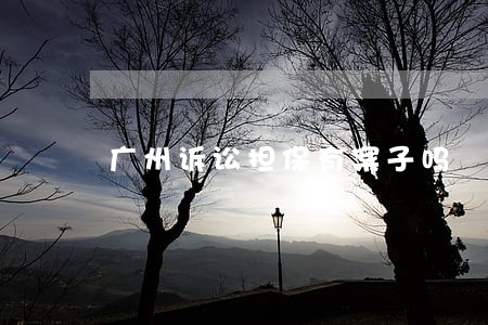 广州诉讼担保有案子吗 广州诉讼担保有案子吗