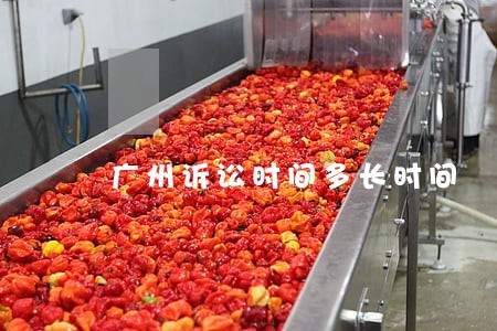 广州诉讼时间多长时间 广州诉讼时间多长时间