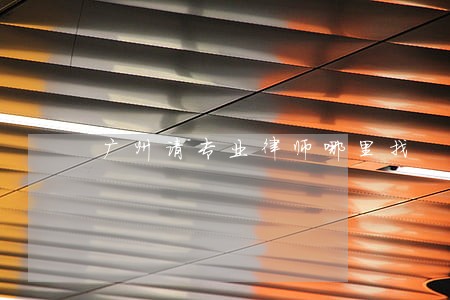 广州请专业律师哪里找 广州请专业律师哪里找