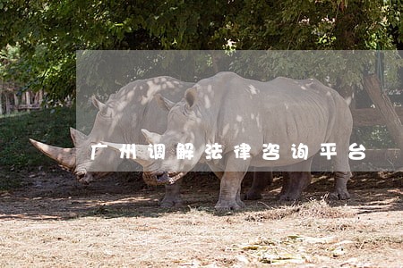 广州调解法律咨询平台 广州调解法律咨询平台