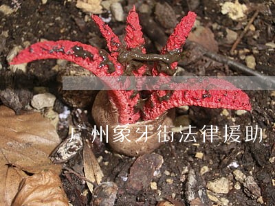 广州象牙街法律援助 广州象牙街法律援助