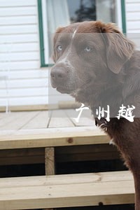 广州越秀法院立案诉讼流程