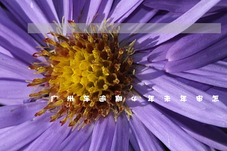 广州车逾期4年未年审怎么办 广州车逾期4年未年审怎么办