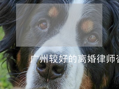 广州较好的离婚律师咨询 广州较好的离婚律师咨询
