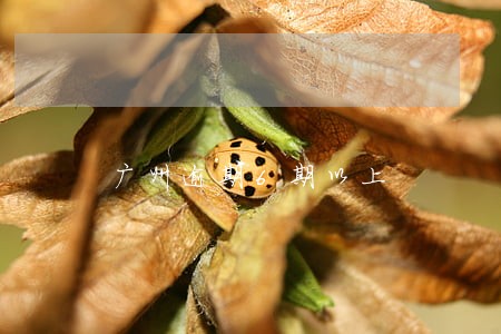 广州逾期6期以上 广州逾期6期以上