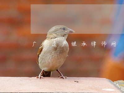 广州遗产继承律师网 广州遗产继承律师网