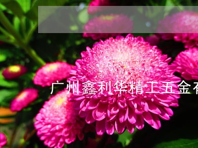 广州鑫利华精工五金有限公司法人 广州鑫利华精工五金有限公司法人