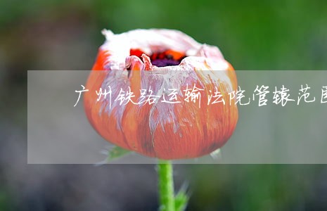 广州铁路运输法院管辖范围解释 广州铁路运输法院管辖范围解释