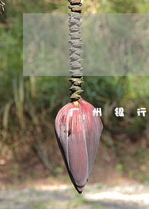 广州银行10万逾期两个月 广州银行10万逾期两个月