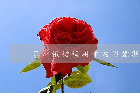 广州银行信用卡两万逾期9个月