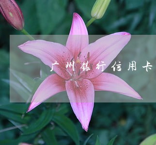 广州银行信用卡欠款逾期 广州银行信用卡欠款逾期