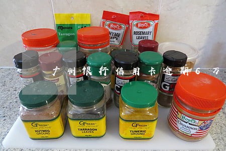 广州银行信用卡逾期6万