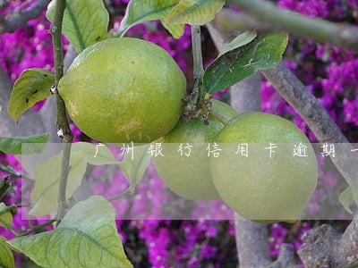 广州银行信用卡逾期一次严重吗 广州银行信用卡逾期一次严重吗