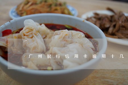 广州银行信用卡逾期十几天