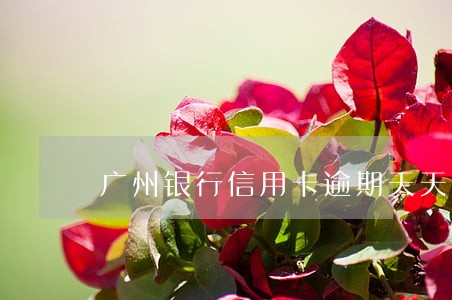 广州银行信用卡逾期天天发短信 广州银行信用卡逾期天天发短信