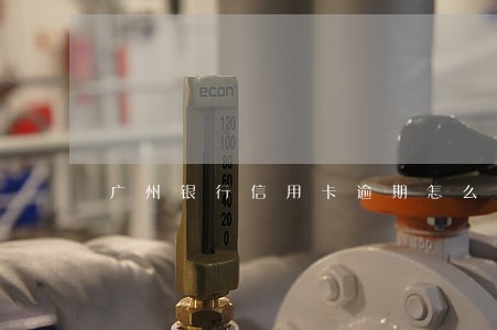 广州银行信用卡逾期怎么计算 广州银行信用卡逾期怎么计算