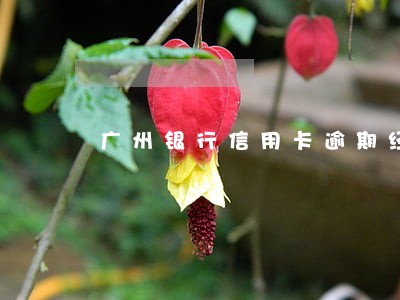 广州银行信用卡逾期经济调查 广州银行信用卡逾期经济调查