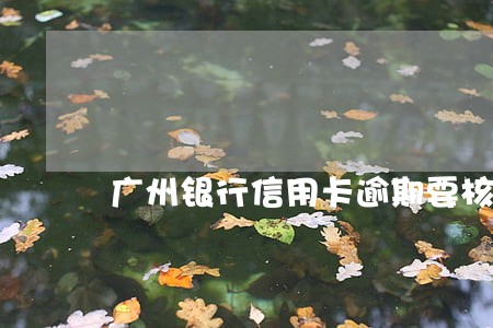 广州银行信用卡逾期要核实信息 广州银行信用卡逾期要核实信息
