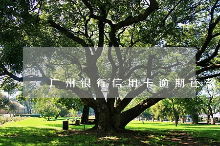 广州银行信用卡逾期还款宽限期 广州银行信用卡逾期还款宽限期