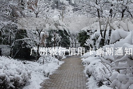 广州银行信用卡逾期通知免息