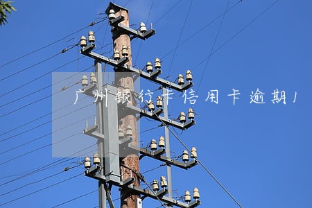广州银行卡信用卡逾期1年 广州银行卡信用卡逾期1年