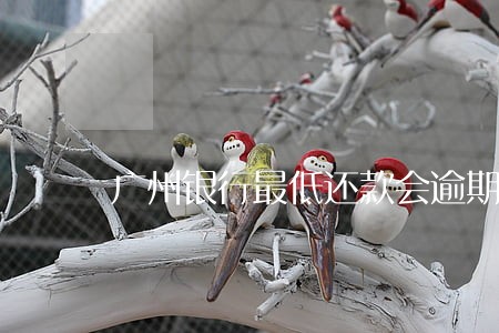 广州银行最低还款会逾期吗 广州银行最低还款会逾期吗