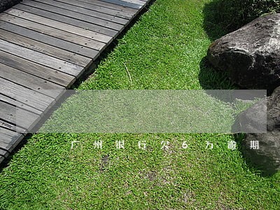 广州银行欠6万逾期 广州银行欠6万逾期
