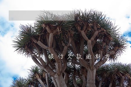 广州银行欠款逾期方式 广州银行欠款逾期方式