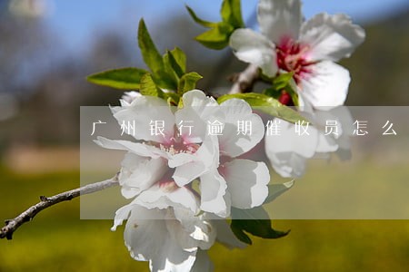 广州银行逾期催收员怎么样 广州银行逾期催收员怎么样