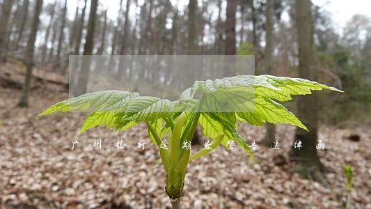 广州银行逾期发警告法律函 广州银行逾期发警告法律函