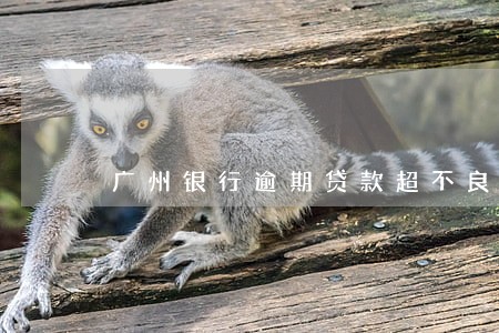 广州银行逾期贷款超不良26亿 广州银行逾期贷款超不良26亿