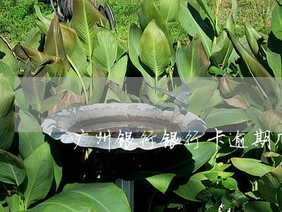 广州银行银行卡逾期几天 广州银行银行卡逾期几天