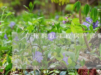 广州附近工程房产律师团 广州附近工程房产律师团